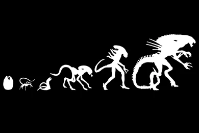 Alien 1080p Backgrounds / 1920x1080