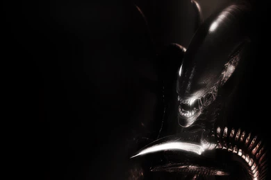 Alien, Monster, Fantasy, Digital Art, Dragon, Dark Backgrounds   HD ...