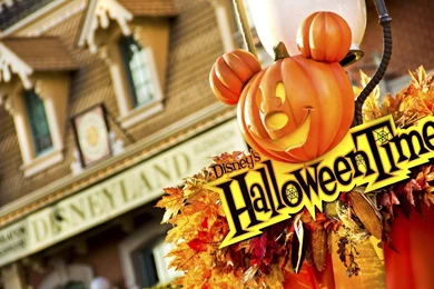 Disney World Desktop Wallpapers