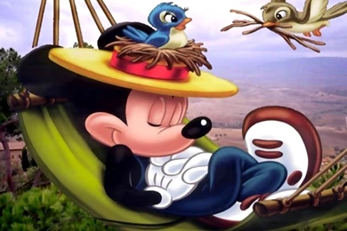 Disney World Desktop Wallpapers Walt Disney Photos Of Disney World ...