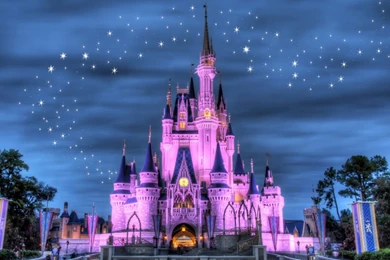 RePin Image: Disney Castle Wallpapers On Pinterest