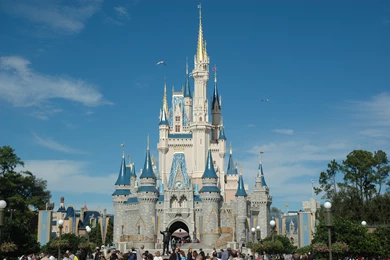 Walt Disney World Disney Castle Wallpapers