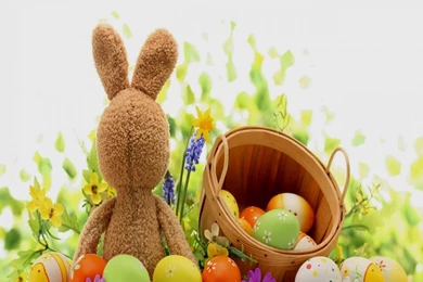Beautiful Happy Easter Images, Photos, Wallpapers, Cards