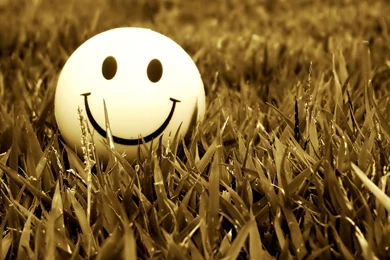 Smiley Computer Wallpapers, Desktop Backgrounds