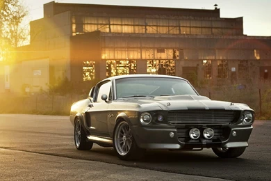 Ford Mustang Shelby Gt HD Bonny Wallpapers Free HD Wallpapers ...