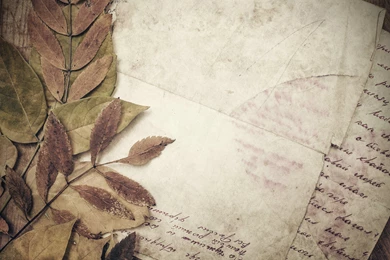 Vintage leaves and letter free desktop wallpaper 5606×3737.jpg ...