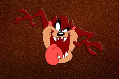 Tasmanian Devil Wallpapers And Images   Wallpapers, Pictures, Photos