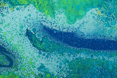 Wallpapers Pics For Iphone   Wallpapers