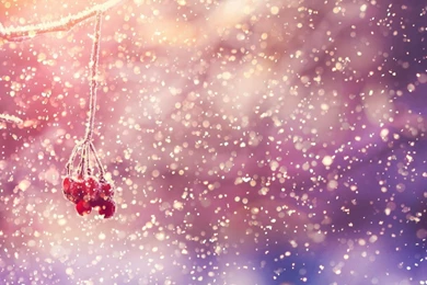 Snow Falling HD Wallpapers