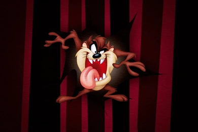 Tasmanian Devil Cartoon Hd Wallpapers ›› Page 0