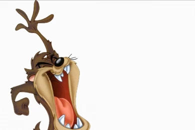 Tasmanian Devil, Looney Tunes, Taz, Cartoon, Cartoons, 1920x1200 ...