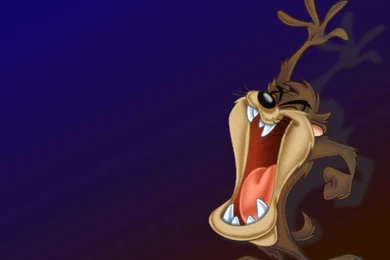 TAZ The Tasmanian Devil Wallpapers : Wallpapers 20