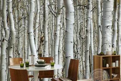 Aliexpress.com : Buy Wall Sticker Wallpapers White Birch Trees ...