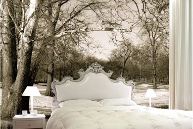 Large 3D Stereo Wallpapers Black And White Nature Forest Trees ...