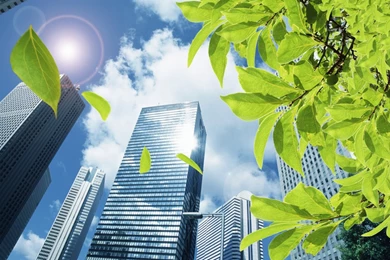 1280x800 Green Leaves Falling Desktop PC And Mac Wallpapers