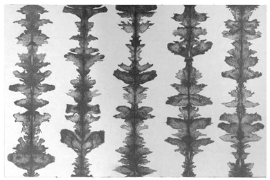 Ink Blots