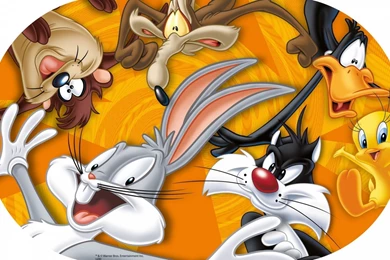 Bugs Bunny HD Wallpapers Download Wile Coyote