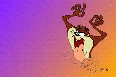 Tasmanian Devil Wide Hd   1024x768 IWallHD   Wallpapers HD