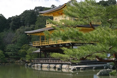 Hp Compaq Wallpapers Free Download 42139 Desktop Wallpapers