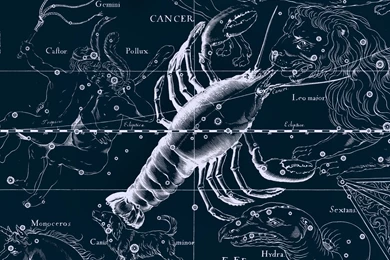 17 Zodiac HD Wallpapers