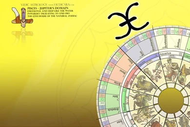 Signs Of The Zodiac On A Yellow Backgrounds Wallpapers And Images ...