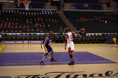 Michael Jordan: Michael Jordan Quotes Kobe Bryant   Quotestoday.club