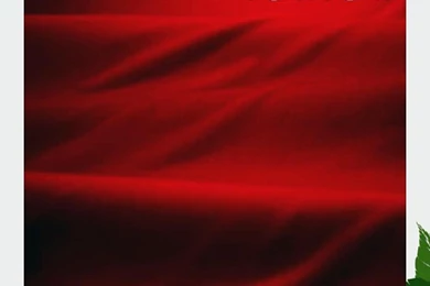 LimoStudio 10' X 13' Photography Studio Backgrounds Photo Backdrop ...