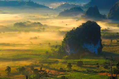 Hd Nature Images, Wallpapers Of Natures, Fresh Air, Widescreen ...