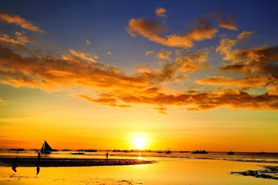 Wallpapers Of Natures, Organic, Plants, Fresh Air, Widescreen ...