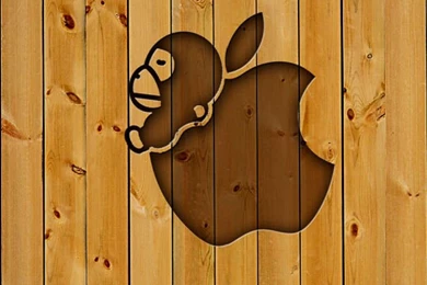 Creative Wood Apple Logo