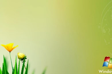 Hd wallpapers windows 8 live wallpaper for pc 1024x768.jpg