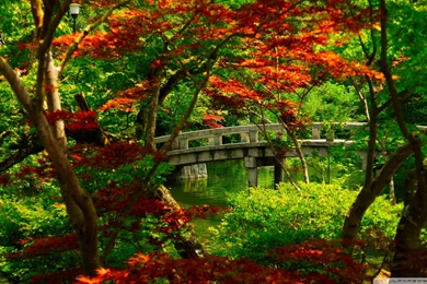Gardens Wallpaper: Japanese Garden Kyoto Wallpapers 1920x1080 ...