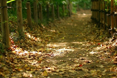 Beautiful Japanese Garden Wallpapers 1280x1024 NO.19 Desktop ...