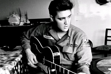 Music Artists Wallpapers