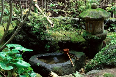 236422_chasha_ voda_ yaponskij sad_1600x1200_www.Gde Fon.com.jpg