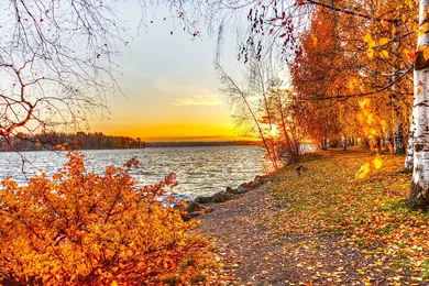 Beautiful Autumn Landscape 1920 X 1080 Wallpapers