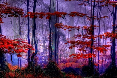 Beautiful Autumn Colors Wallpapers