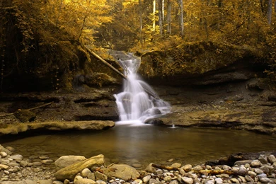 Beautiful Autumn Wallpapers   Random Wallpapers (32882111)   Fanpop