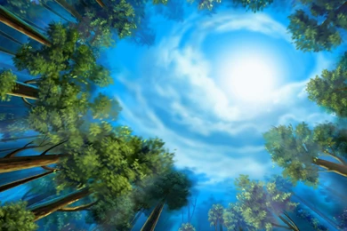 Wallpaper: Backgrounds