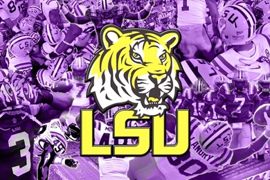 Browsing Wallpapers On DeviantArt