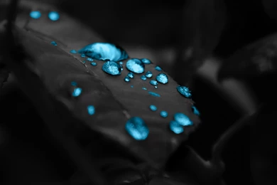 539 Water Drop HD Wallpapers
