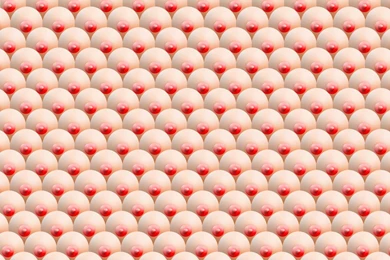 Tits Wallpapers   A Photo On Flickriver