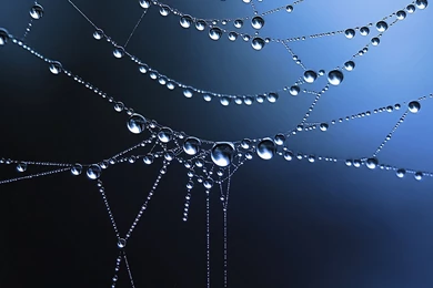 Exciting water drop wallpaper backgrounds abstract images water wallpaper.jpg