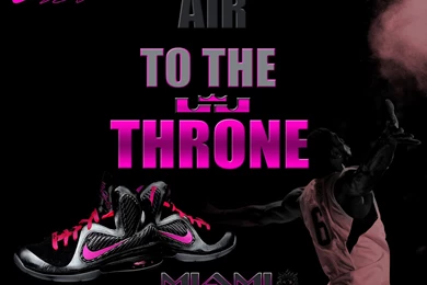 Nike Lebron James 9 Miami Nights $ 2250.0   Todobasket