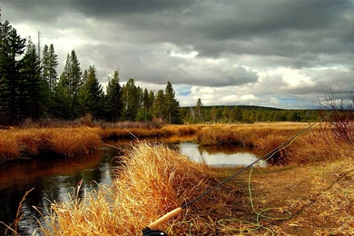 Fly Fishing In Yellowstone National Park: 10/01/2010   11/01/2010