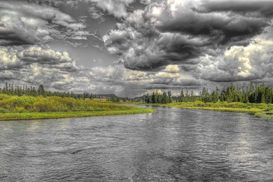 Fly Fishing In Yellowstone National Park: A Brief But Mixed Blessing