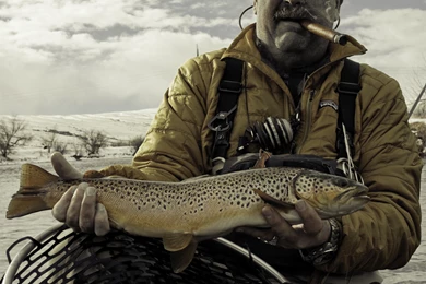 FISHING Fish Sport Water Fishes Winter River Trout Steelhead ...