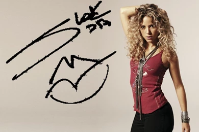 Wallpapers Shakira Free Computer 1024x768