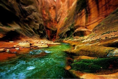 Fly fish for beginners   Fly Fishing Rod, Reel And Gear Reviews ...