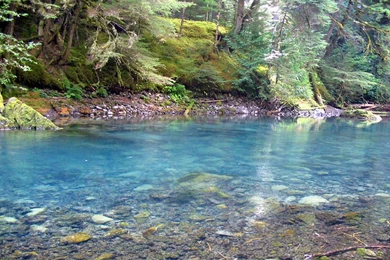 Fishing: Fly Fishing